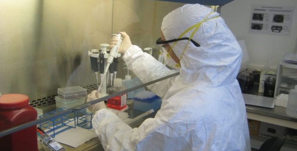 Outro vírus, com mortalidade de até 75%, preocupa autoridades em saúde