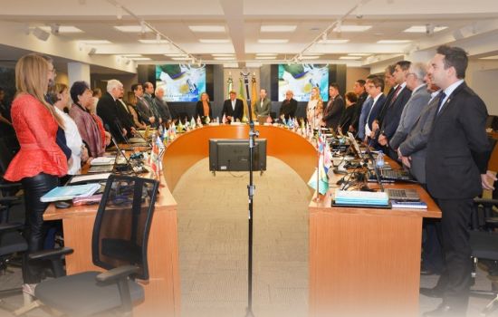 Os altos e baixos da 483ª Reunião Plenária do Conselho Federal de Farmácia (CFF)