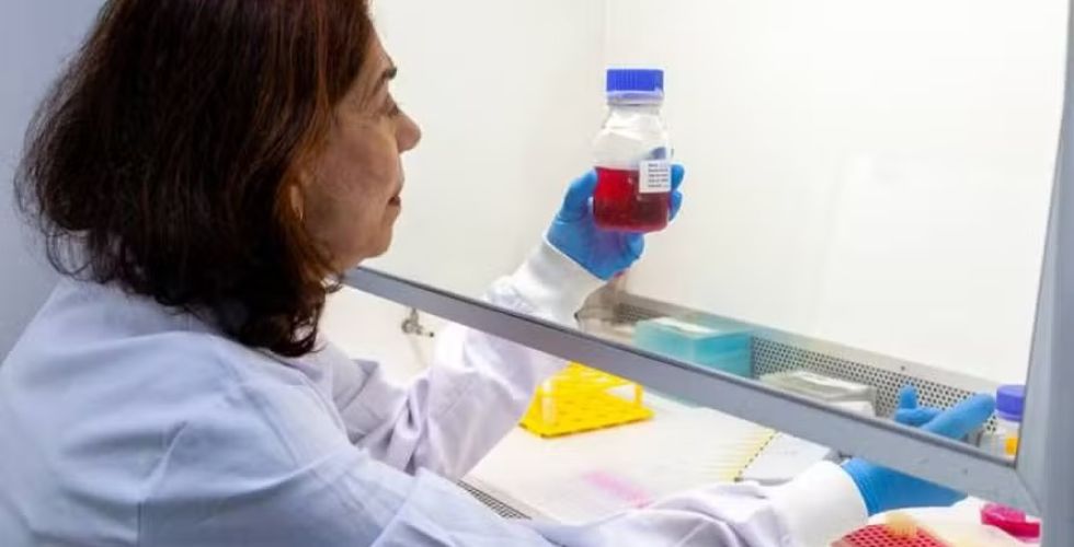 Butantan desenvolve anticorpo monoclonal para proteger gestantes contra o Zika