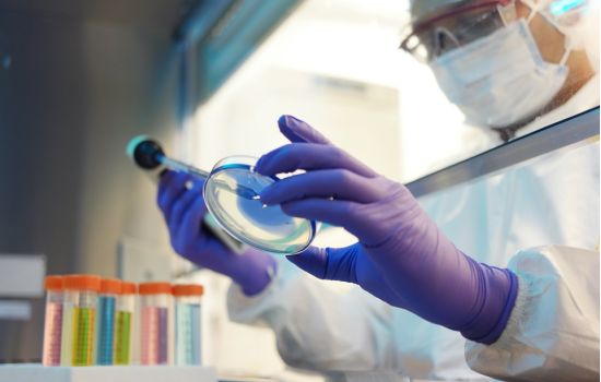 Validação de métodos analíticos microbiológicos