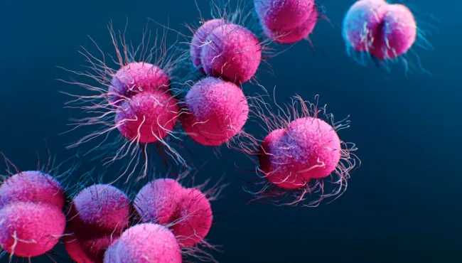 OMS vê aumento preocupante da gonorreia resistente a antibióticos