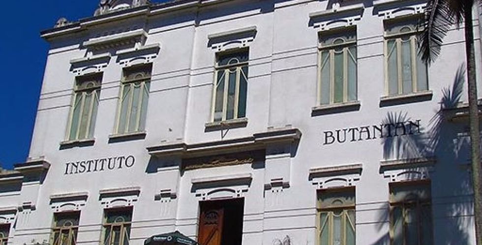 Butantan testa imunizante nacional contra gripe aviária em três estados brasileiros