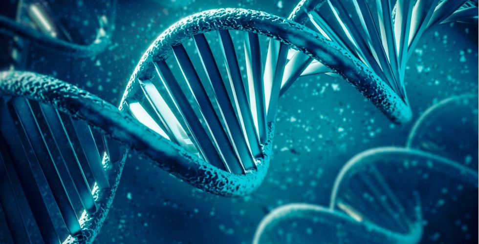 Estudo aponta gene ligado à maioria dos casos de Alzheimer