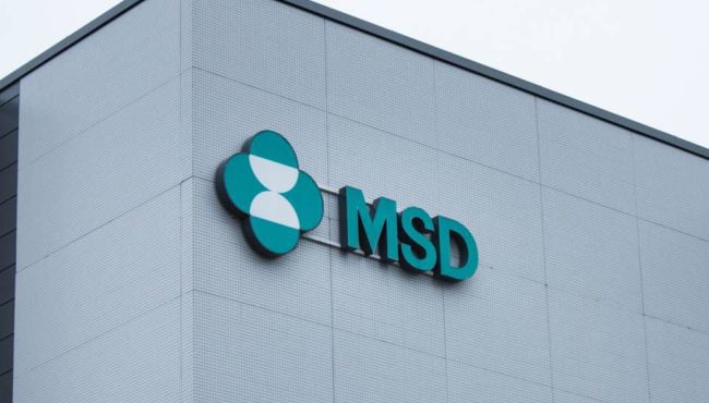 Covid-19: MSD desenvolve duas vacinas e um antiviral oral