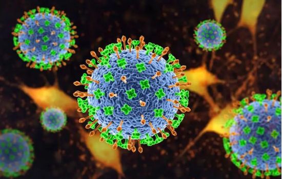 Vírus Nipah reacende alerta de vigilância e coloca o farmacêutico no centro da resposta clínica