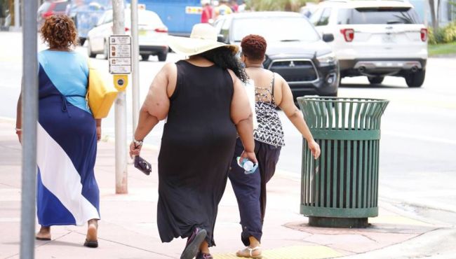 Pesquisadores da Unicamp estudam eficácia de antibiótico contra obesidade