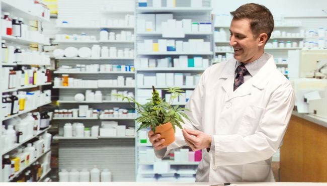 A farmácia e a profissão farmacêutica no Uruguai