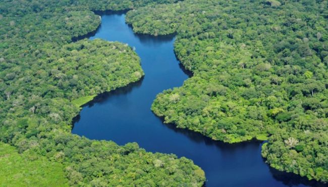Biodiversidade da Amazônia abre possibilidades para o desenvolvimento de novos fármacos