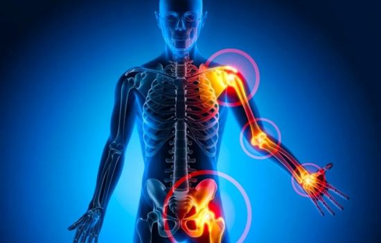 Estudo de Stanford aponta regeneração de cartilagem e pode mudar tratamento da osteoartrite