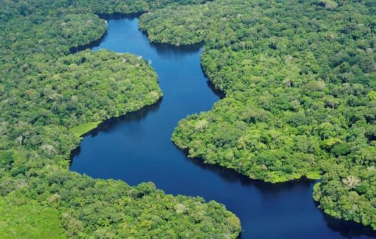 Biodiversidade da Amazônia abre possibilidades para o desenvolvimento de novos fármacos