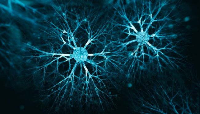 Estudo revela que medicamento para diarreia pode regenerar neurônio