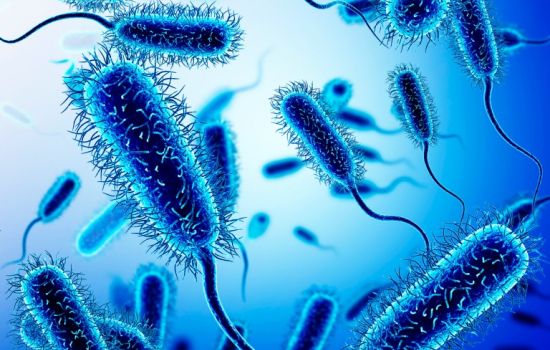 Após 50 anos, nova classe de antibióticos pode ser lançada.