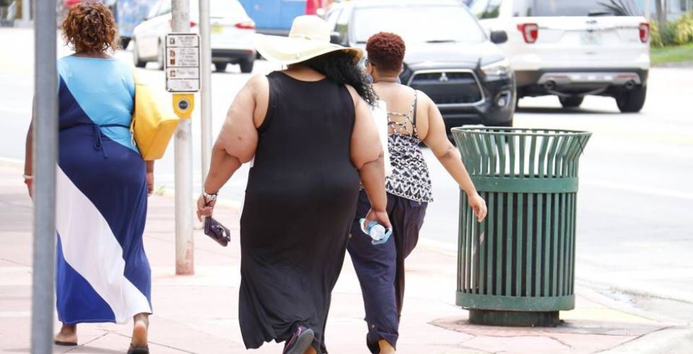 Pesquisadores da Unicamp estudam eficácia de antibiótico contra obesidade
