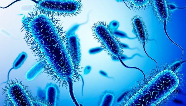 Após 50 anos, nova classe de antibióticos pode ser lançada.
