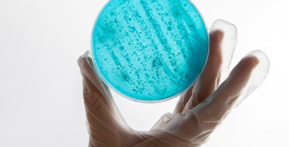 Laboratório de microbiologia: proteção final contra contaminações e endotoxinas na indústria farmacêutica