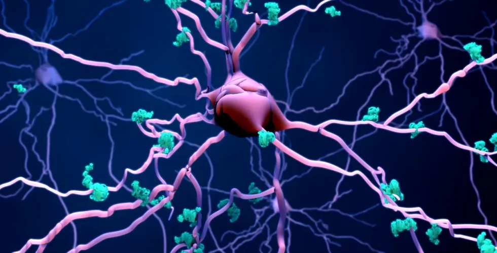 Medicamento antigo mostra efeito promissor contra morte de neurônios no Alzheimer
