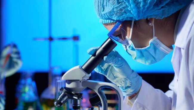 Cientistas descobrem moléculas promissoras contra tumor cerebral agressivo
