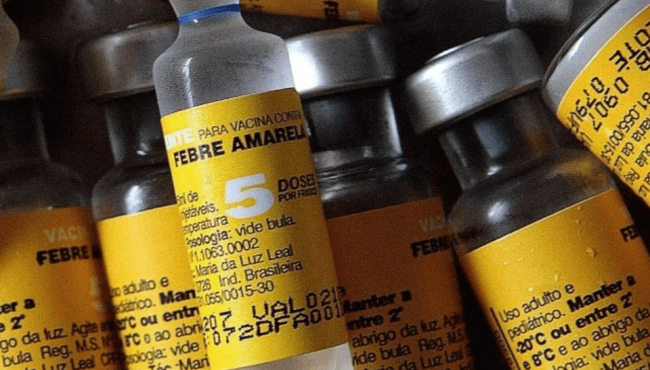 Clínica farmacêutica em casos de Febre Amarela