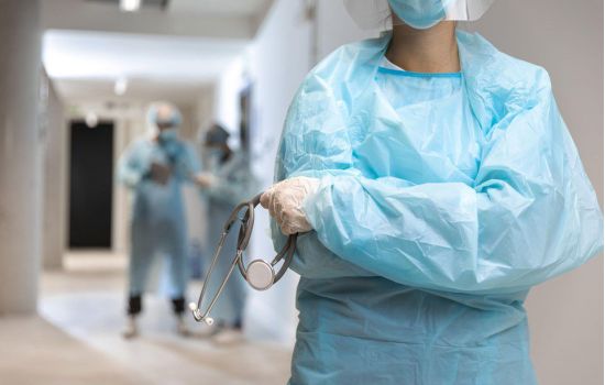 Anvisa emite comunicado para barrar disseminação de fungo perigoso no Brasil