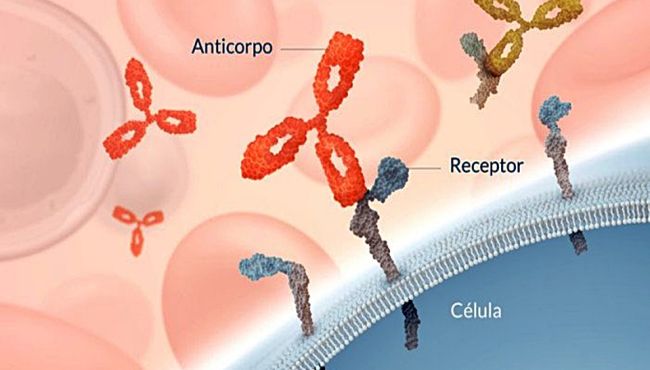 Biofármacos estima faturamento de R$ 600 milhões em 2020