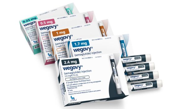 Novo Nordisk busca aprovação para versão oral do Wegovy