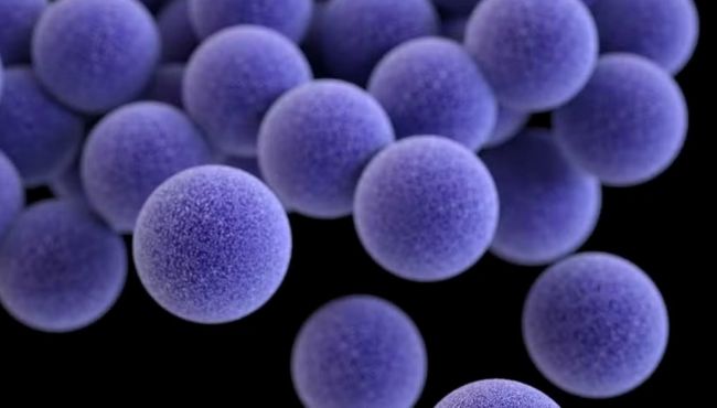 Novo estudo alerta para disseminação de bactéria resistente fora de hospitais