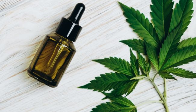 Revisão científica indica que cannabis não alivia dor neuropática crônica