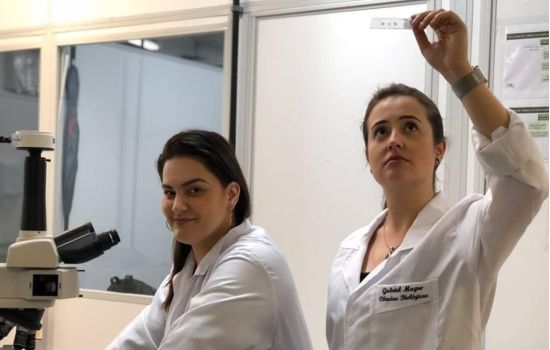 Farmacêutica descobre efeitos do zika vírus no cérebro de adultos