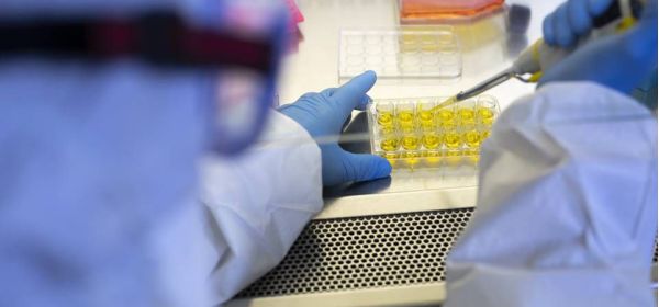 Covid-19: Anvisa autoriza estudos clínicos com remdesivir e ruxolitinibe