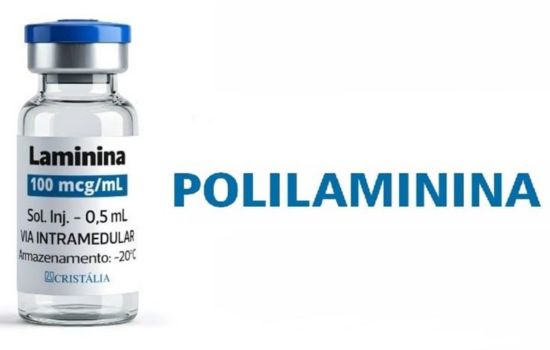 Sociedades científicas defendem cautela e rigor no debate sobre polilaminina