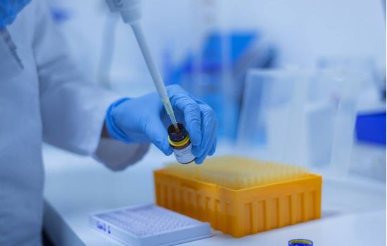 Melatonina produzida no pulmão impede infecção da Covid-19
