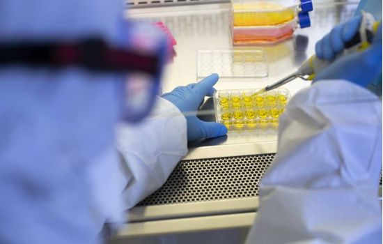 Covid-19: Anvisa autoriza estudos clínicos com remdesivir e ruxolitinibe
