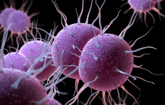 FDA aprova novas opções contra avanço da gonorreia resistente