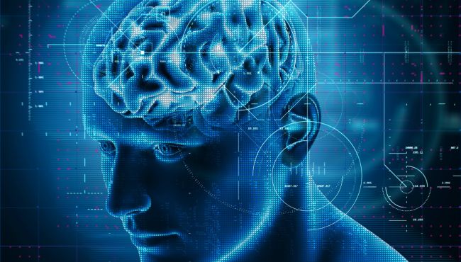 Microbiota intestinal pode influenciar o risco de Alzheimer