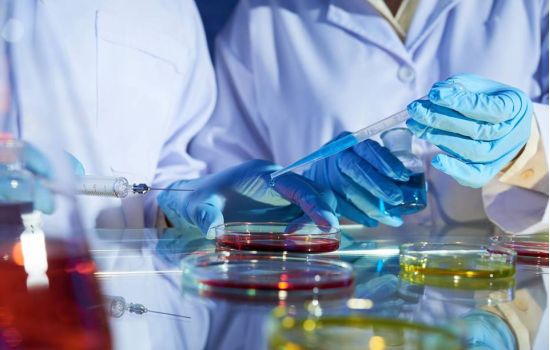 Cientistas descobrem de onde podem vir novas pandemias