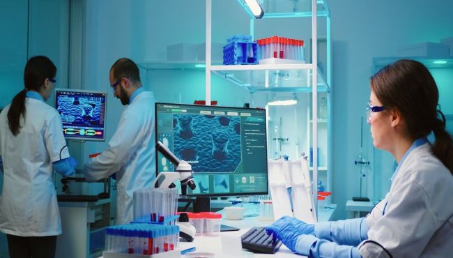 Covid-19: teste desenvolvido por brasileiros usa inteligência artificial