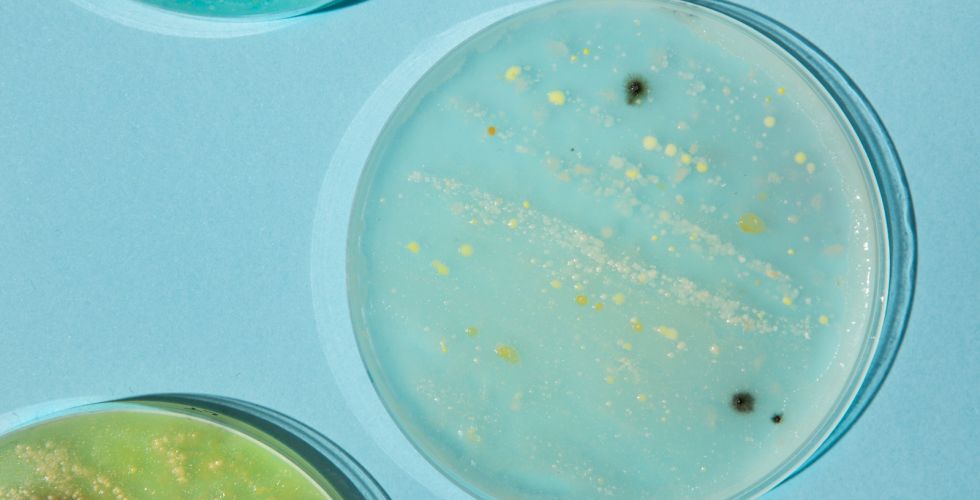 Farmacêutico brasileiro desenvolve tecnologia inovadora para identificar bactérias em segundos.