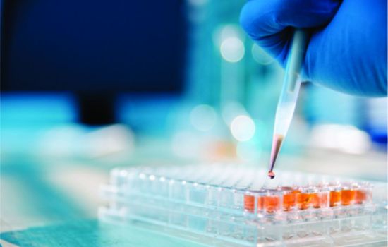 Mercado farmacêutico carece de inovação tecnológica na produção