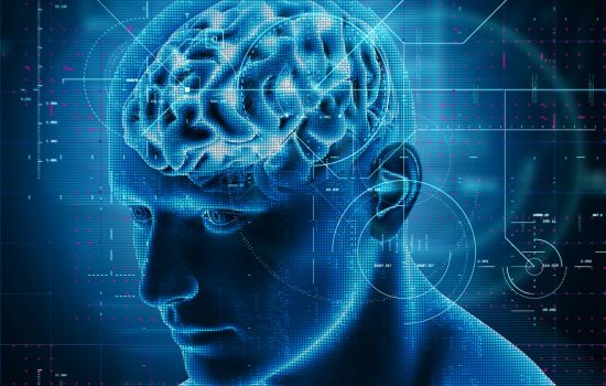 Microbiota intestinal pode influenciar o risco de Alzheimer