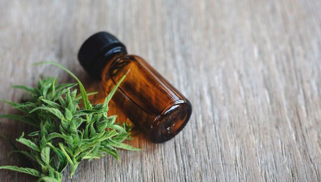 INPI anula patente de medicamento à base de canabidiol