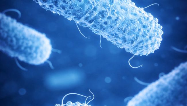 Hidrogel brasileiro mostra ação contra superbactérias e aponta novos caminhos para controle de infecções hospitalares