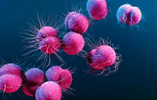 OMS vê aumento preocupante da gonorreia resistente a antibióticos