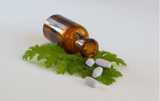 Startup brasileira compra cannabis da Colômbia para produção de medicamentos