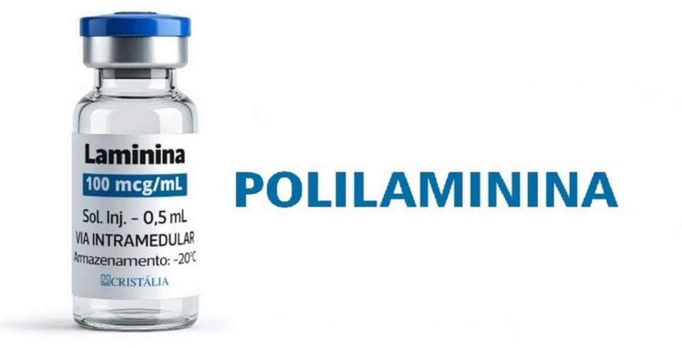 Sociedades científicas defendem cautela e rigor no debate sobre polilaminina