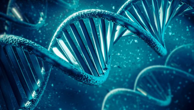 Estudo aponta gene ligado à maioria dos casos de Alzheimer