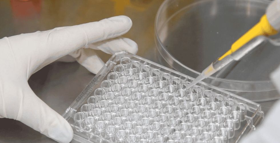 Pesquisadores da USP criam técnica que pode revolucionar o diagnóstico de diabetes.