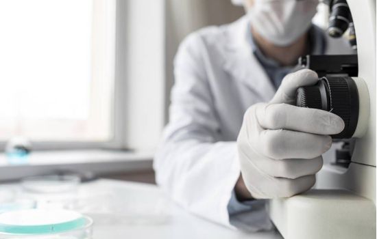 Novo medicamento mostra-se promissor contra o crescimento de tumores cancerígenos
