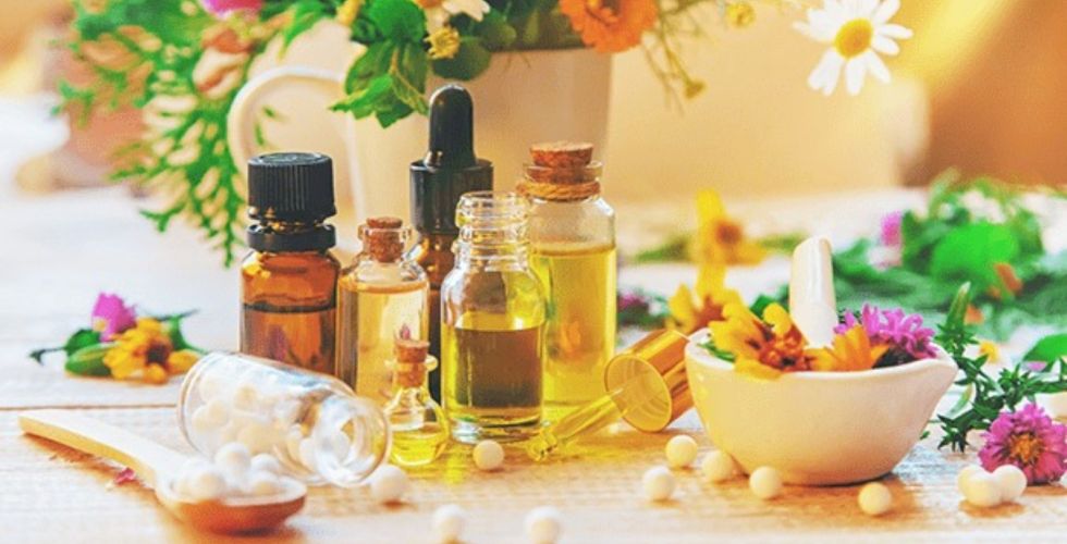 Anvisa aprova novo marco para medicamentos fitoterápicos no Brasil