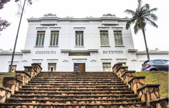 Covid-19: Instituto Butantan poderá ter vacina até o final de 2020