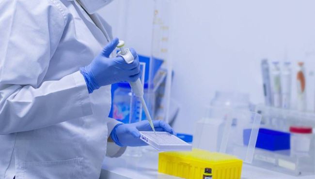 Cientistas britânicos testam medicamento que pode dar imunidade instantânea ao coronavírus
